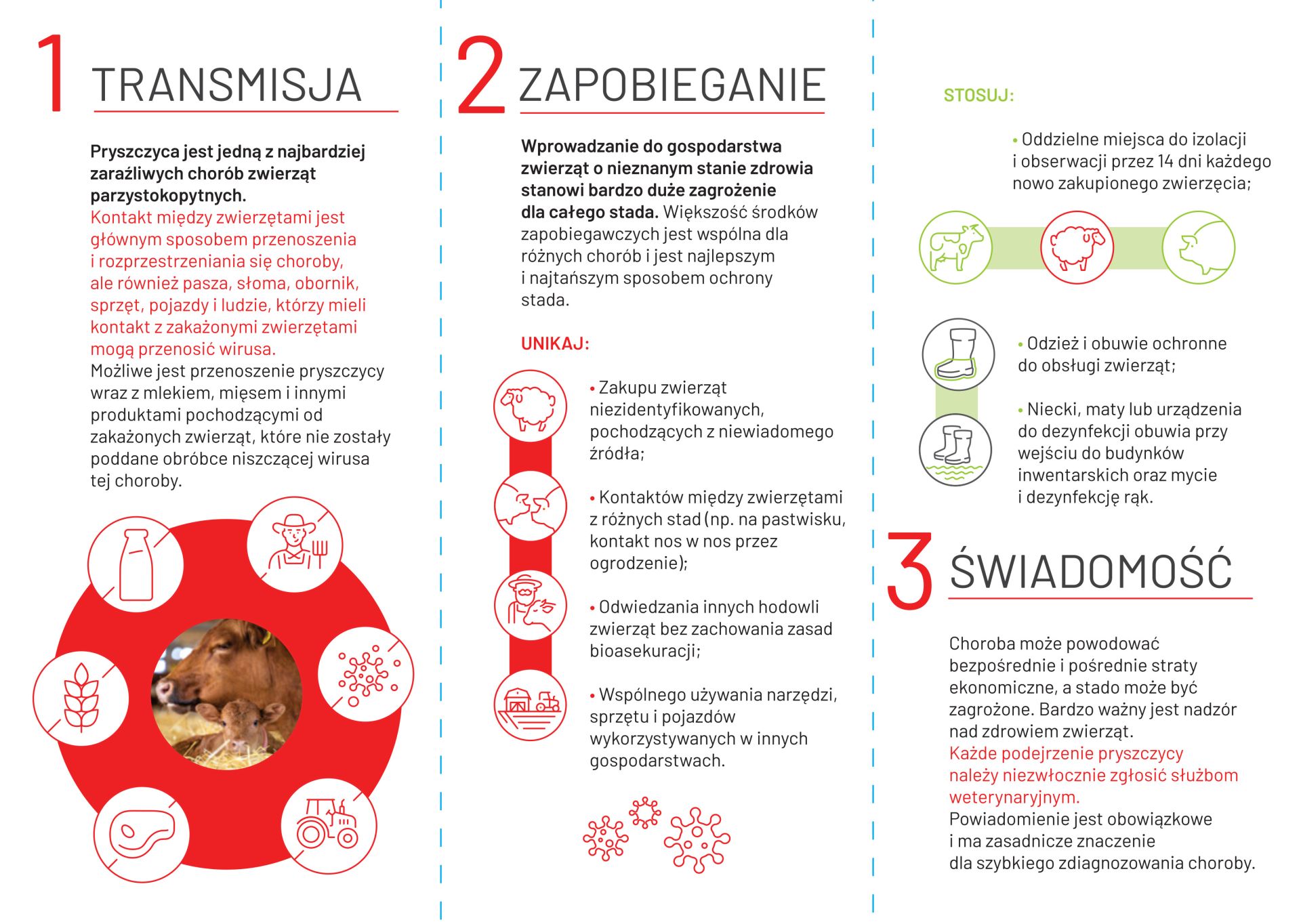 Ulotka informacyjna o Pryszczycy