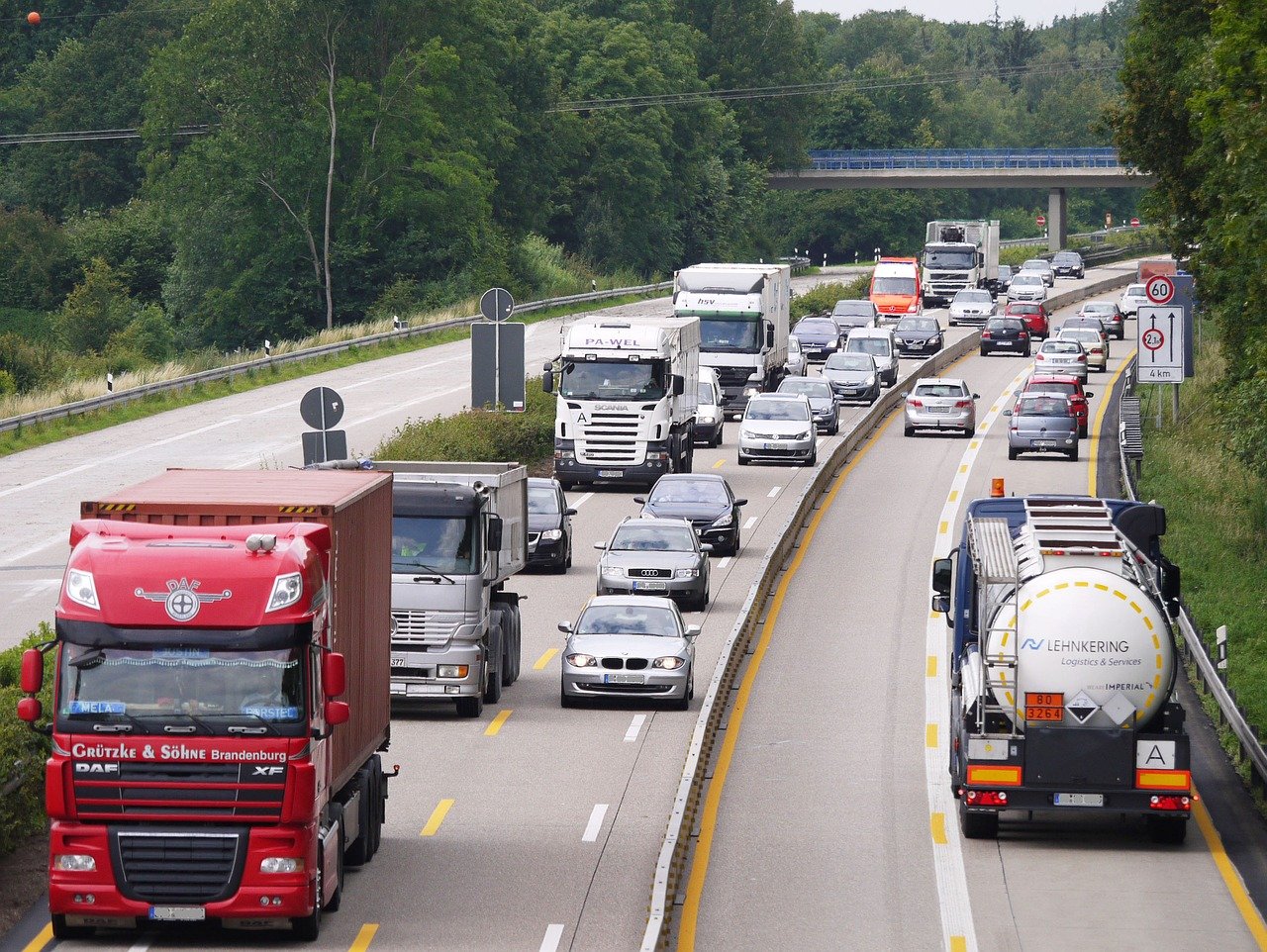 Nie ma podstaw do blokowania transportu świń na 