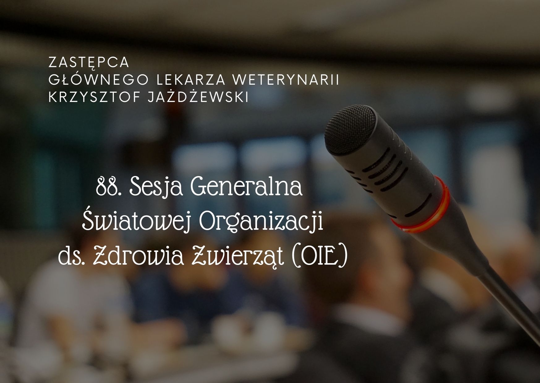 88 Sesja Generalna Światowej Organizacji ds. Zdro