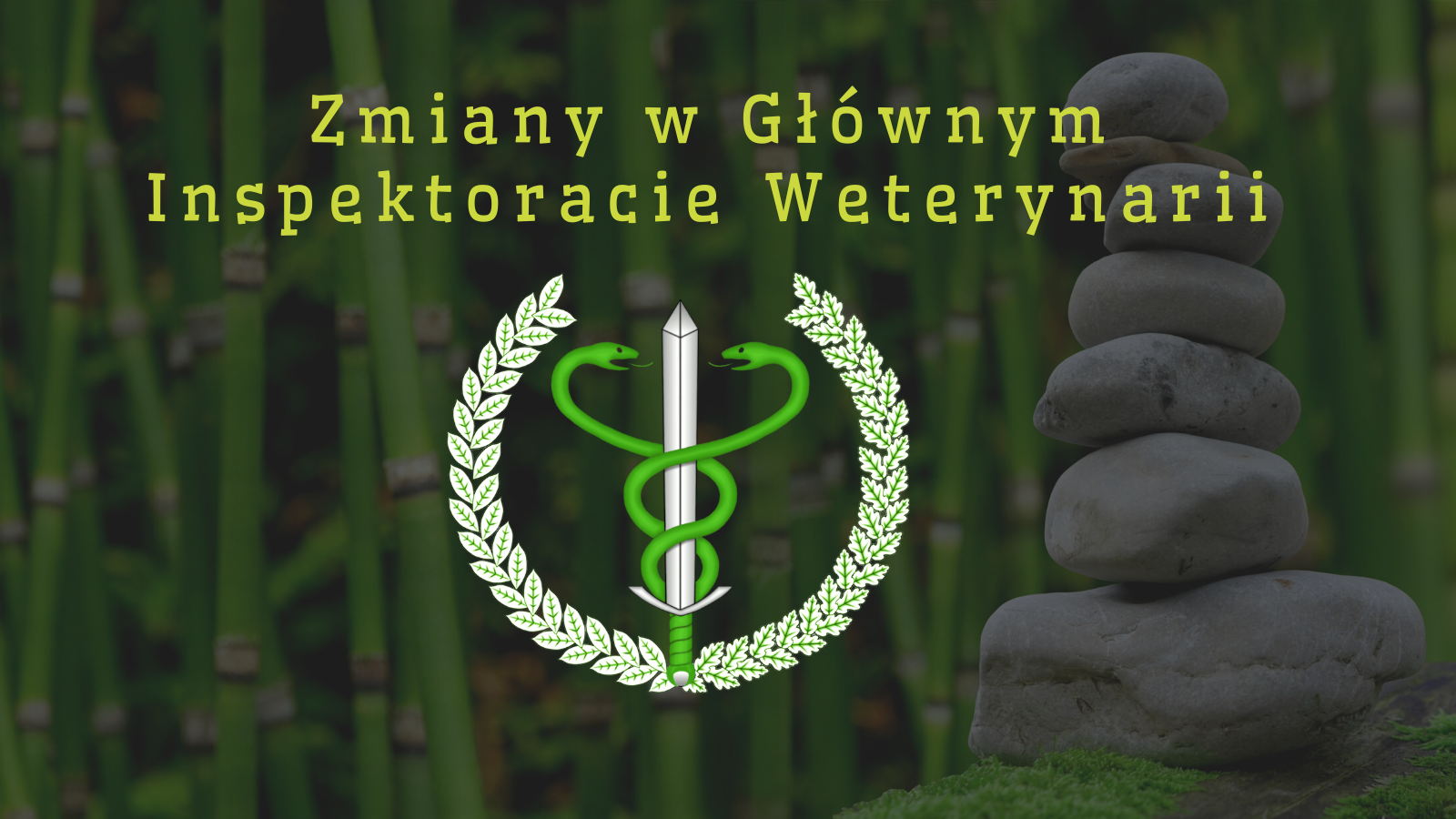 Zmiany w Głównym Inspektoracie Weterynarii