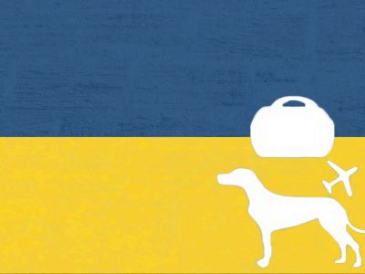 Informacje dla posiadaczy zwierząt z Ukrainy nie 