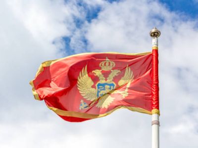 Możliwość eksportu bydła do Czarnogóry