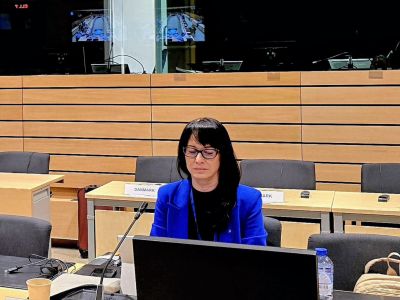 Udział Zastępcy Głównego Lekarza Weterynarii w posiedzeniu Grupy Roboczej Głównych Lekarzy Weterynarii państw członkowskich UE 