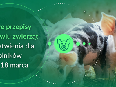 Nowe przepisy o zdrowiu zwierząt - ułatwienia dl