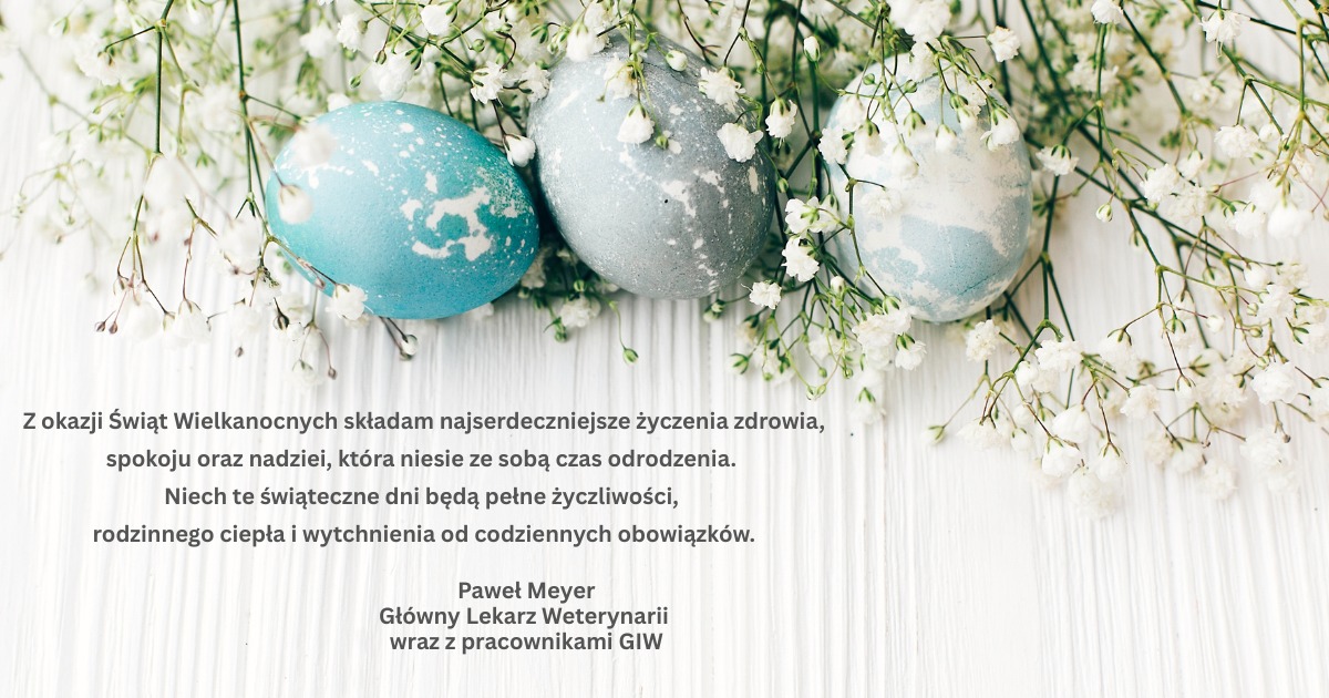 Obrazek przedstawiający kolorowe jajka pisanki wraz z białymi kwiatkami oraz życzeniami wielkanocnymi od Głównego Lekarza Weterynarii