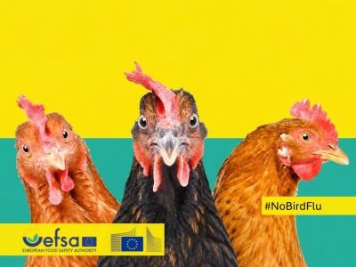 Kampania EFSA Kampania EFSA