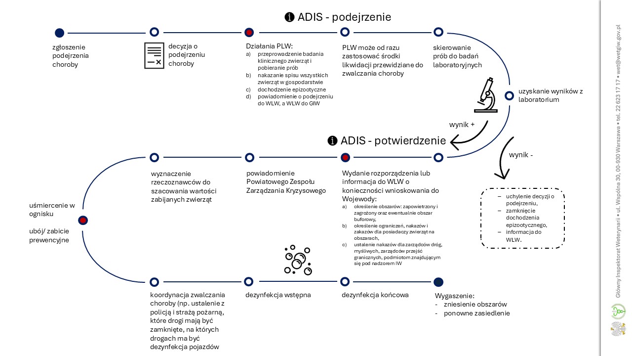 Zdjęcie polazujące schemat postępowanie w przypadku wykrycia ADIS