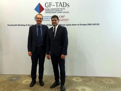 Udział Zastępcy Głównego Lekarza Weterynarii, Pana Pawła Niemczuka, w 14tym posiedzeniu Stałej Grupy Ekspertów ds. ASF w Europie (GF TADs)