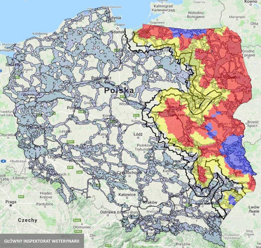 Komunikat Głównego Lekarza Weterynarii