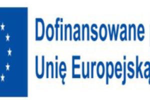 Logo informujące o dofinansowaniu ze środków EU Logo informujące o dofinansowaniu ze środków EU