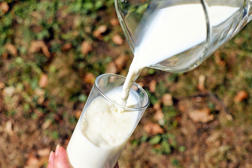 Zakaz eksportu do Uzbekistanu mleka i serwatki w p