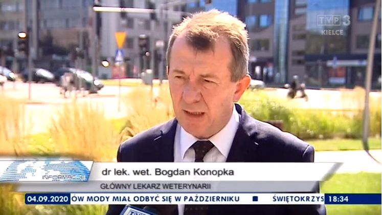 Płot na granicy województw jako element walki z ASF