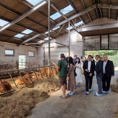 Wizyta przedstawicieli Ambasady Chińskiej Republiki Ludowej w zakładzie mięsa wołowego oraz gospodarstwie utrzymującym bydło (1)