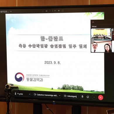 Spotkanie online ze służbą właściwą Korei Południowej w sprawie szczegółów technicznych dotyczących dostępu do rynku 