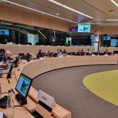 Posiedzenie Grupy Roboczej Głównych Lekarzy Weterynarii państw członkowskich UE w Brukseli 