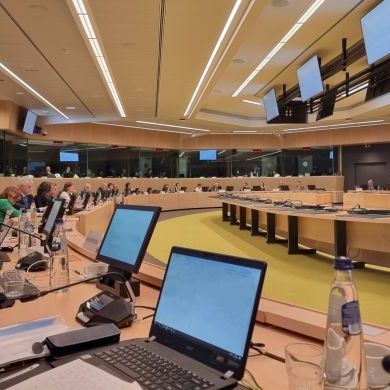 Posiedzenie Grupy Roboczej Głównych Lekarzy Weterynarii państw członkowskich UE w Brukseli 