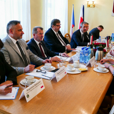 Spotkanie polsko-czeskiej grupy roboczej w sprawie ASF w Częstochowie