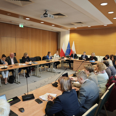 audyt Komisji Europejskiej General Follow Up Audit (1)