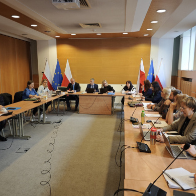 audyt Komisji Europejskiej General Follow Up Audit (2)