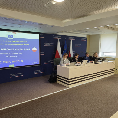 audyt Komisji Europejskiej General Follow Up Audit (3)