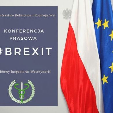 Brexit - konferencja prasowa MRiRW (6)