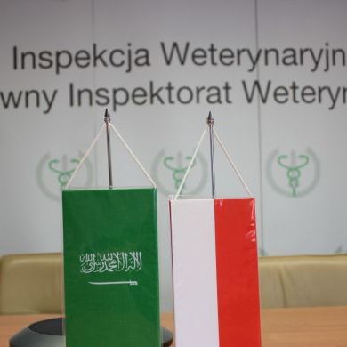 Wideokonferencja strony polskiej z władzami weterynaryjnymi Królestwa Arabii Saudyjskiej (4)