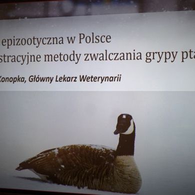 Grypa ptaków - konferencja naukowo-dydaktyczna (1)