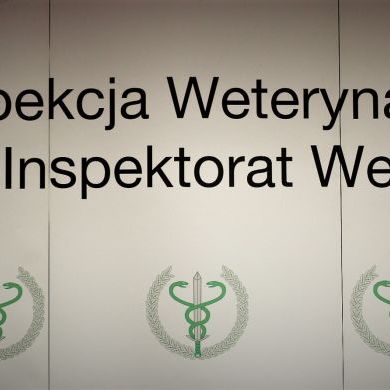 Graniczne Inspektoraty Weterynarii (4)